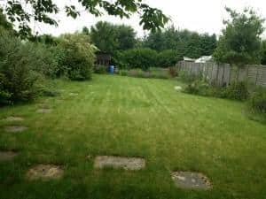 before lawn treatment
