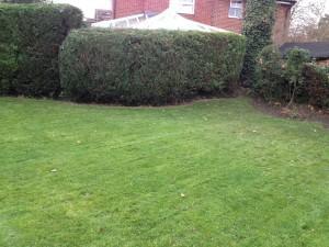 garden cleared and hedges trimmed