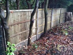 fencing project - view from the other side