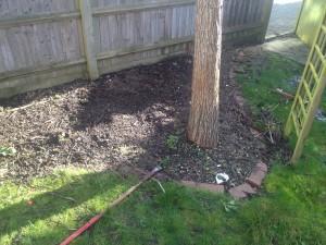 before lawn edging and turfing