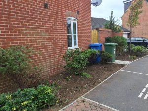 garden tidy up - review